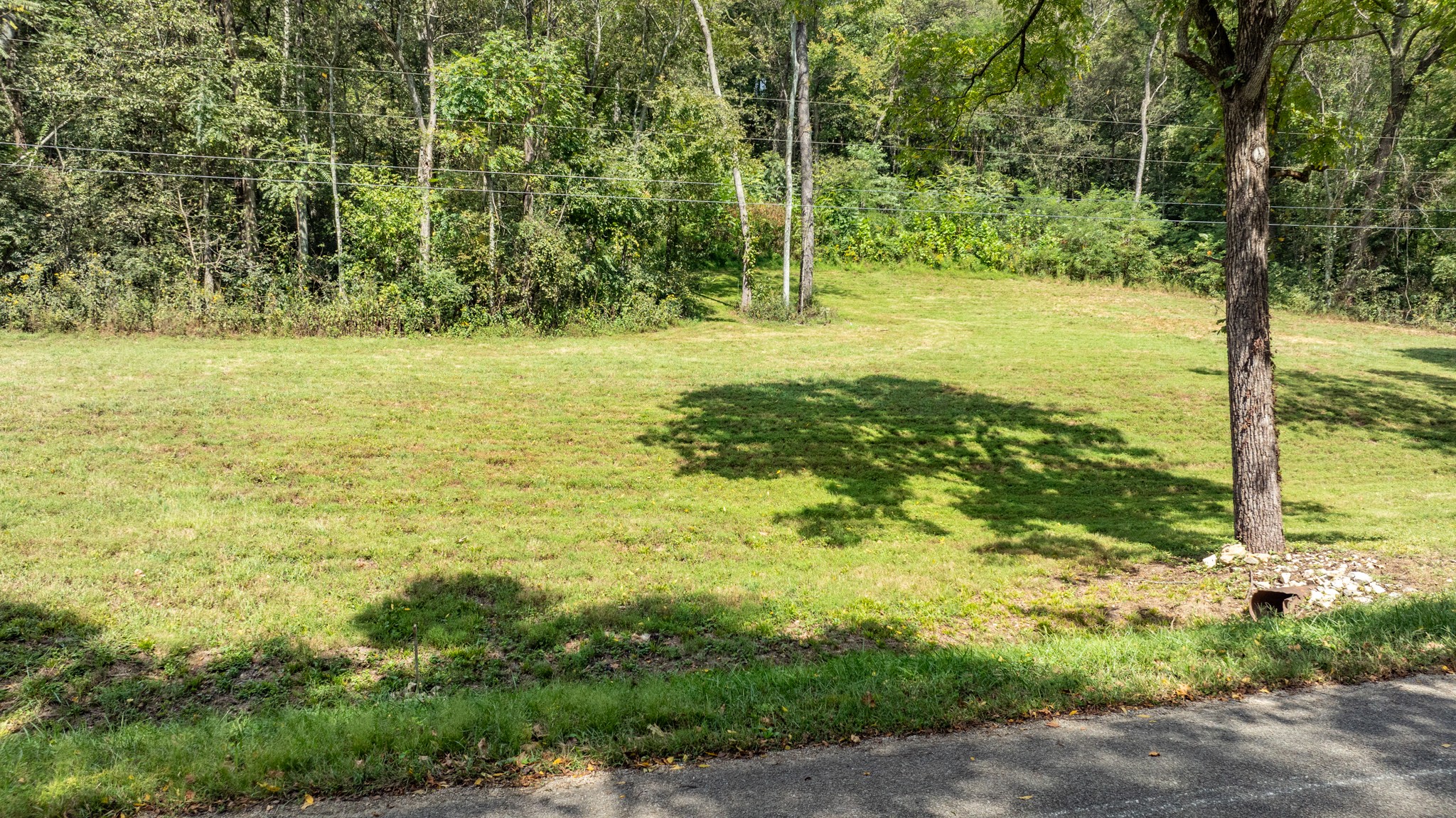 0 Roy Dodson Rd Property Photo 9