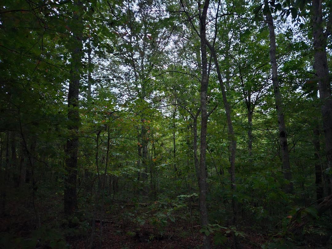0 Sandy Road Property Photo 6
