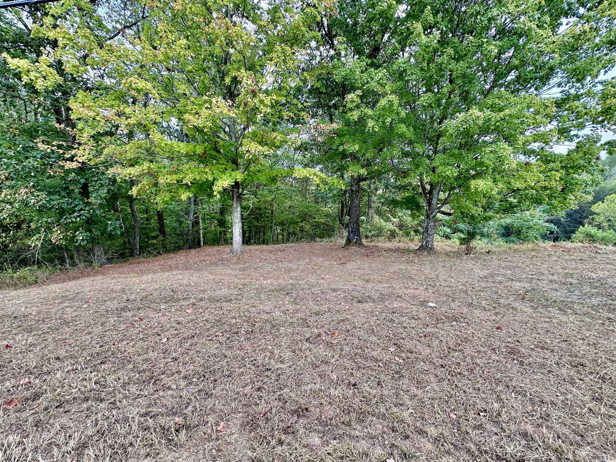 1330 Shell Rd Property Photo 2