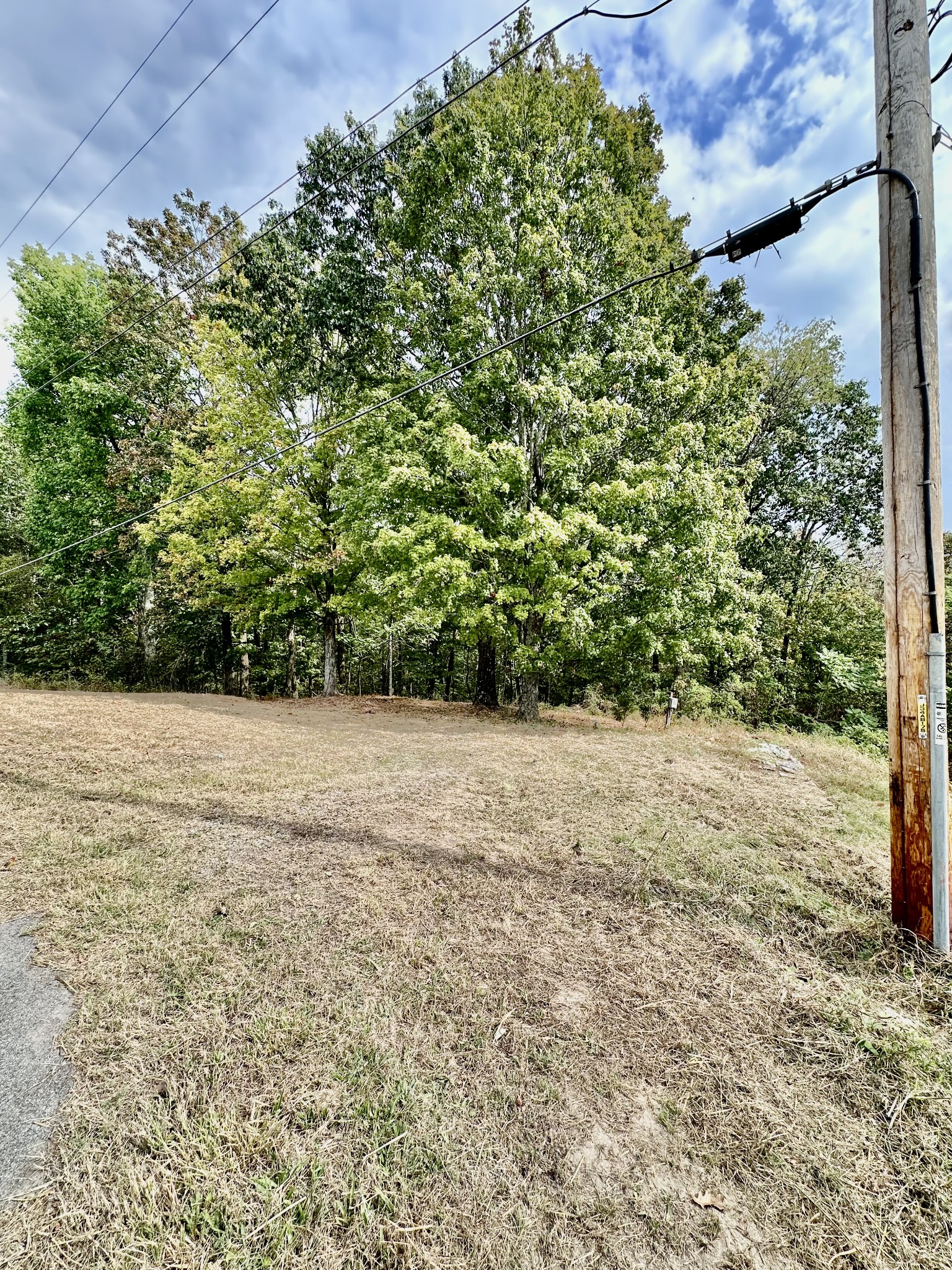 1330 Shell Rd Property Photo 6