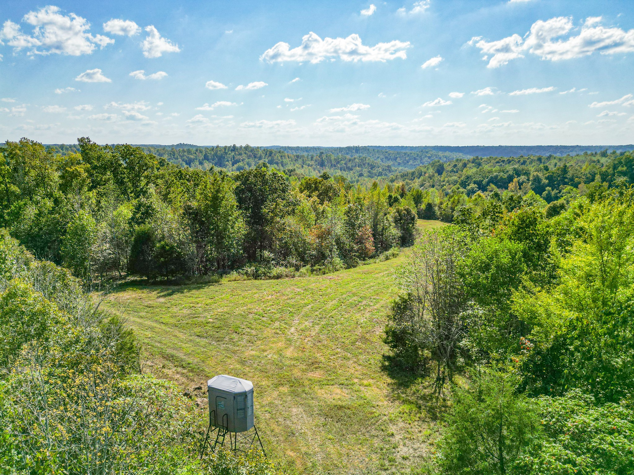 0 Treadwell Prong Rd Property Photo