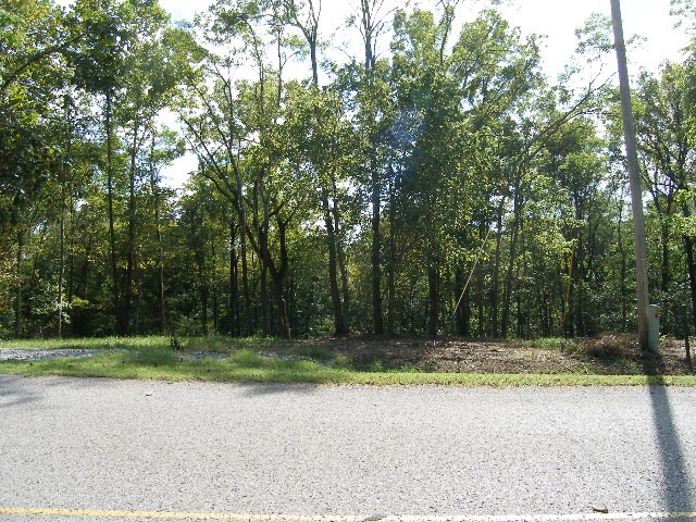 0 Sugar Ridge Property Photo 5