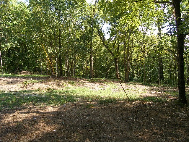 0 Sugar Ridge Property Photo 8