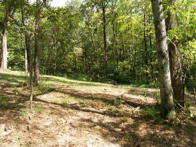 0 Sugar Ridge Property Photo 10