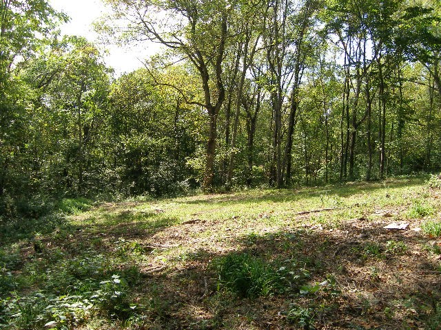 0 Sugar Ridge Property Photo 11