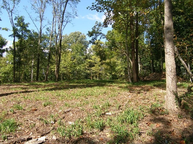 0 Sugar Ridge Property Photo 12