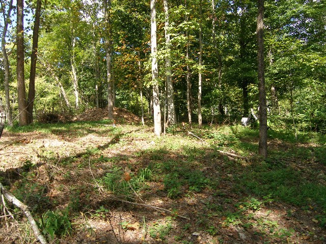 0 Sugar Ridge Property Photo 13