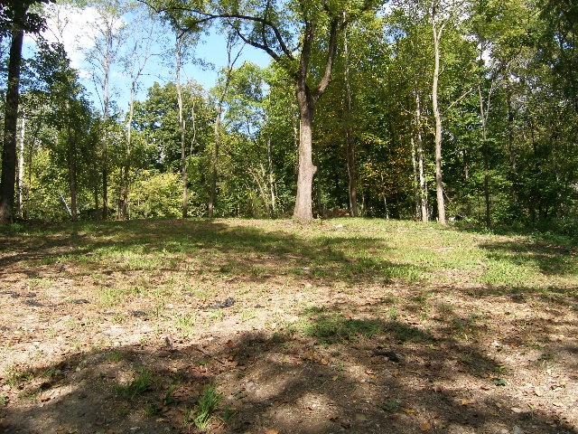 0 Sugar Ridge Property Photo 14