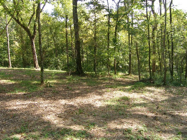 0 Sugar Ridge Property Photo 15