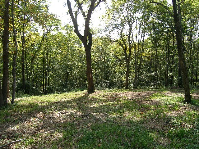 0 Sugar Ridge Property Photo 18