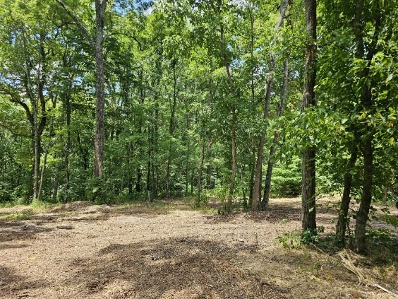 0 Sugar Ridge Property Photo 21