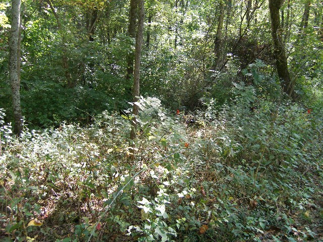 0 Sugar Ridge Property Photo 22
