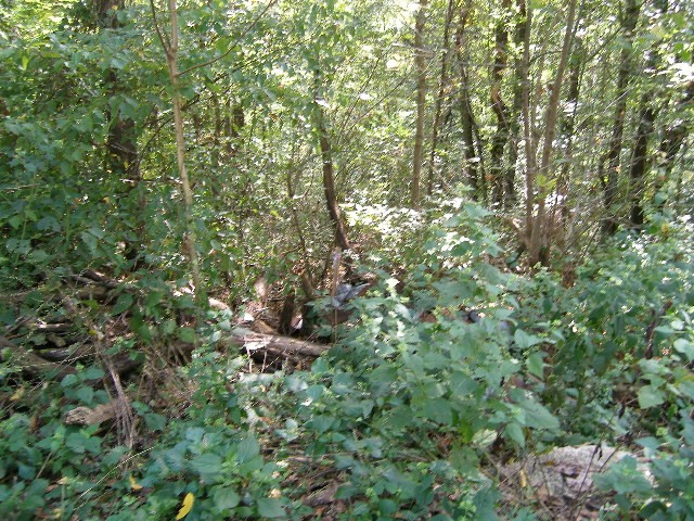 0 Sugar Ridge Property Photo 23
