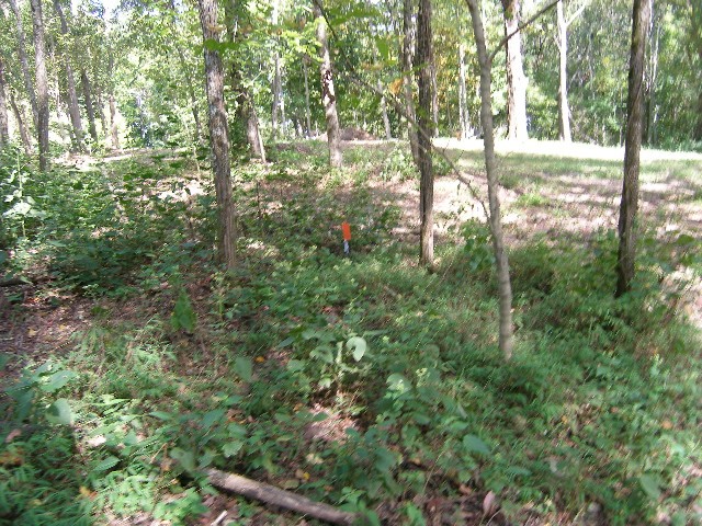 0 Sugar Ridge Property Photo 24