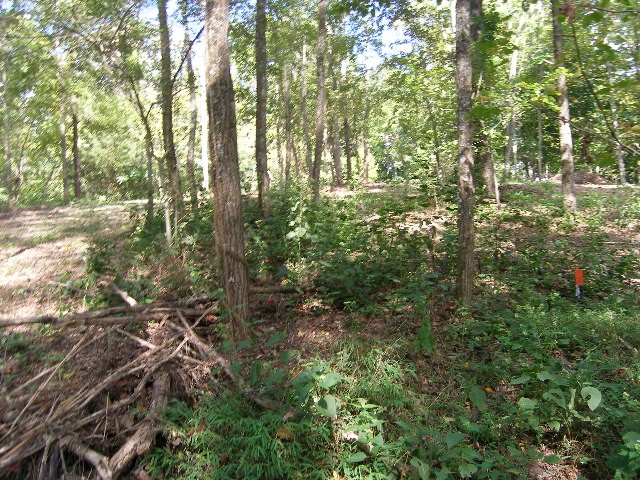 0 Sugar Ridge Property Photo 25