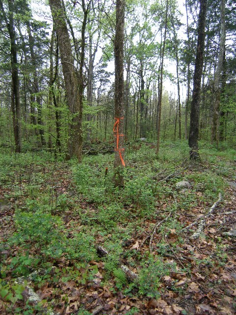 0 Sugar Ridge Property Photo 27
