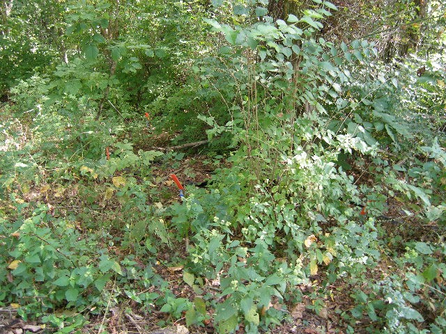 0 Sugar Ridge Property Photo 29