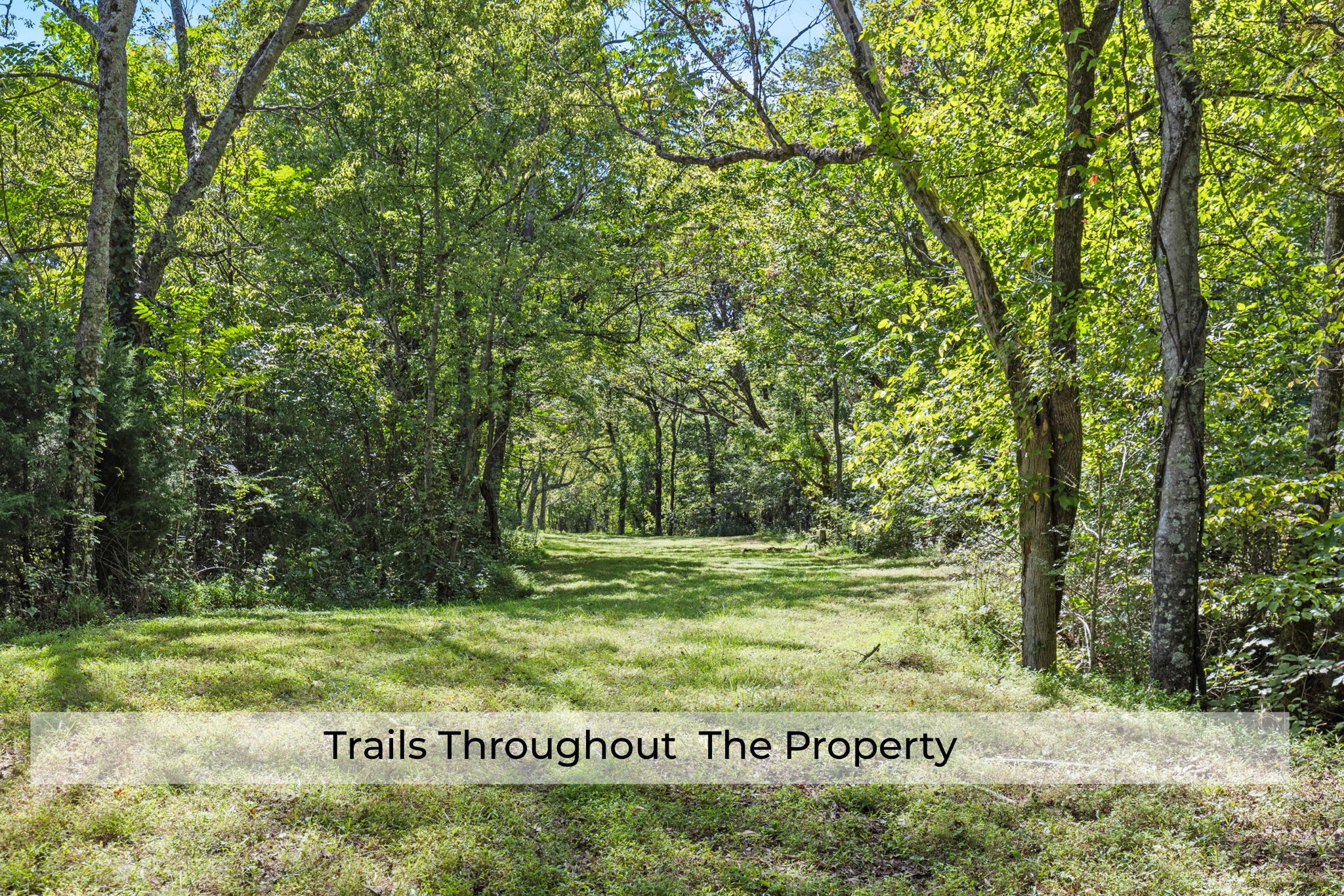 1818 Preacher Holt Rd Property Photo 37