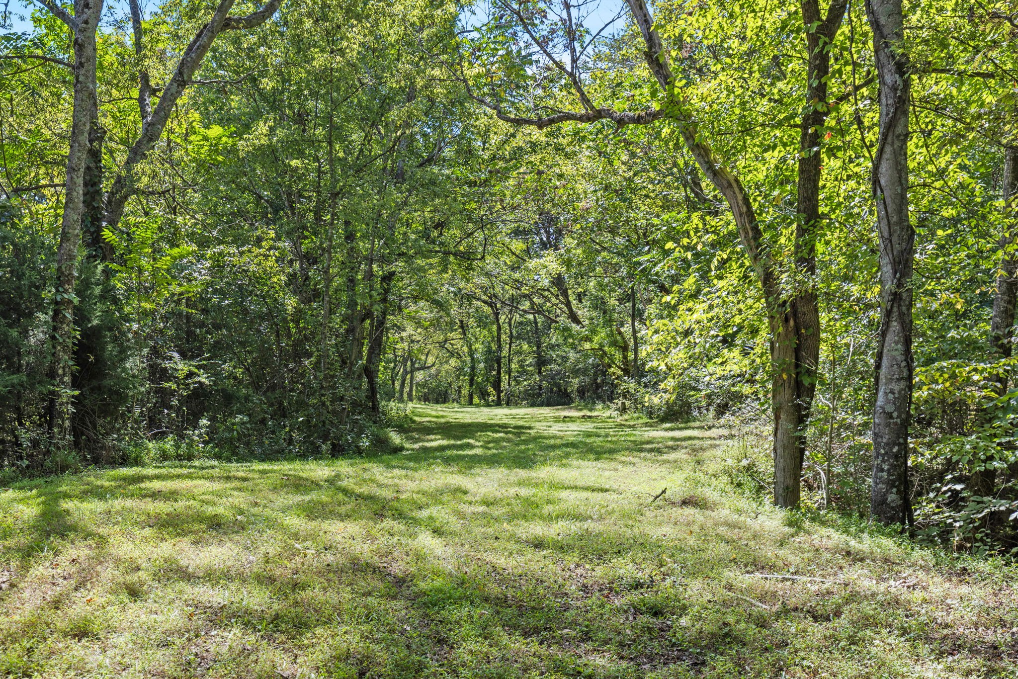 1818 Preacher Holt Rd Property Photo 39