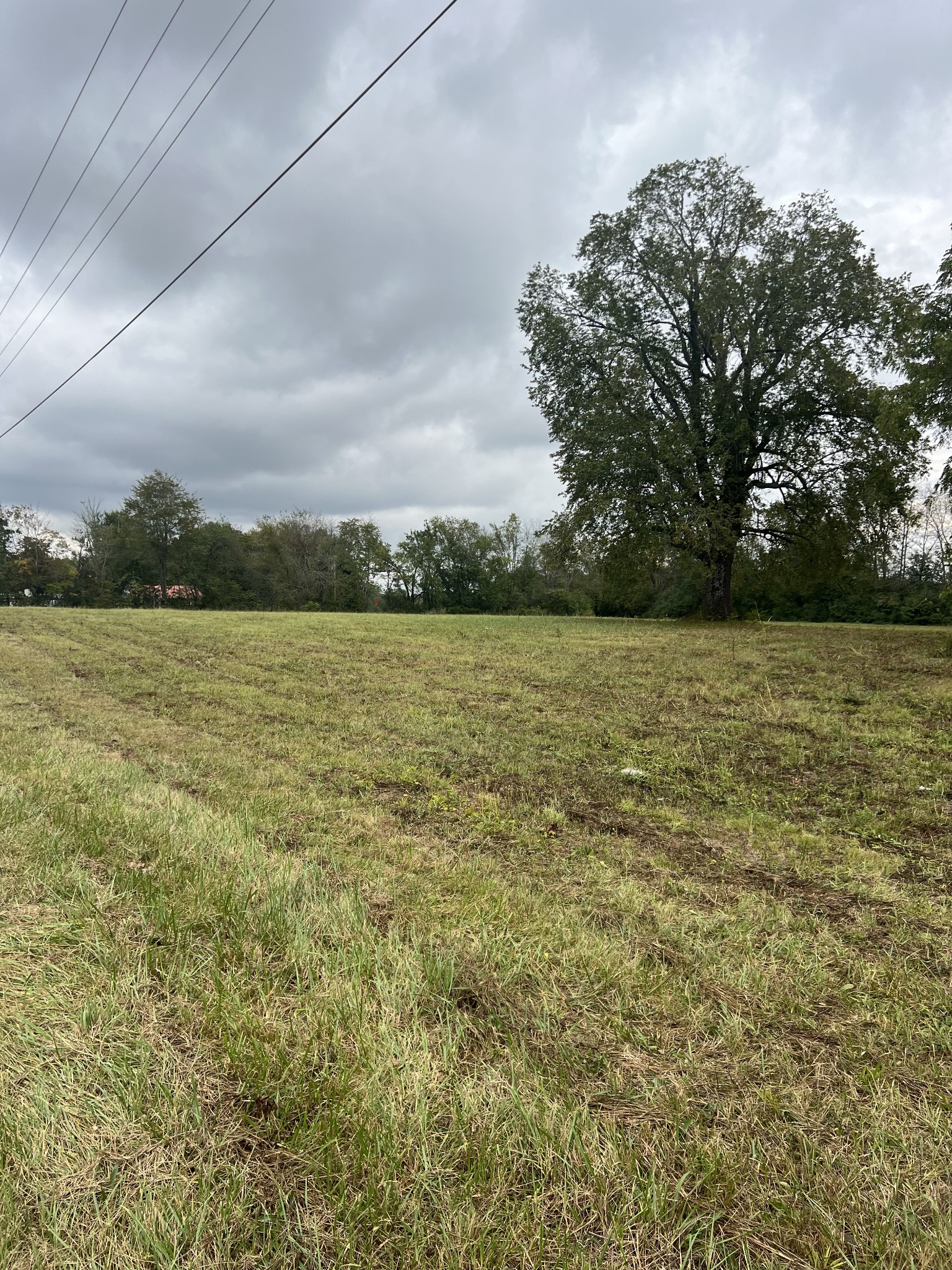 0 Smithville Hwy Property Photo 5