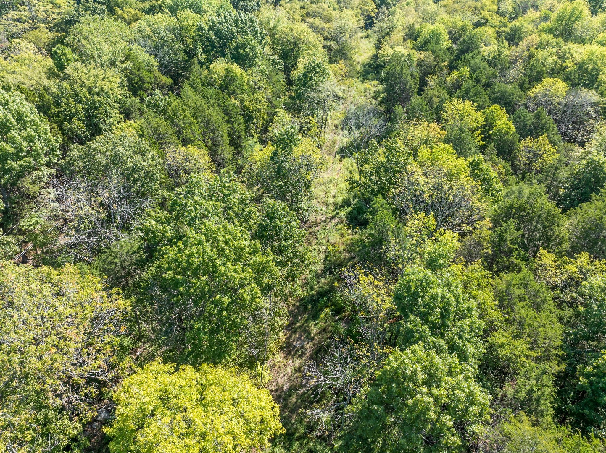 5882 Cane Ridge Rd Property Photo 9