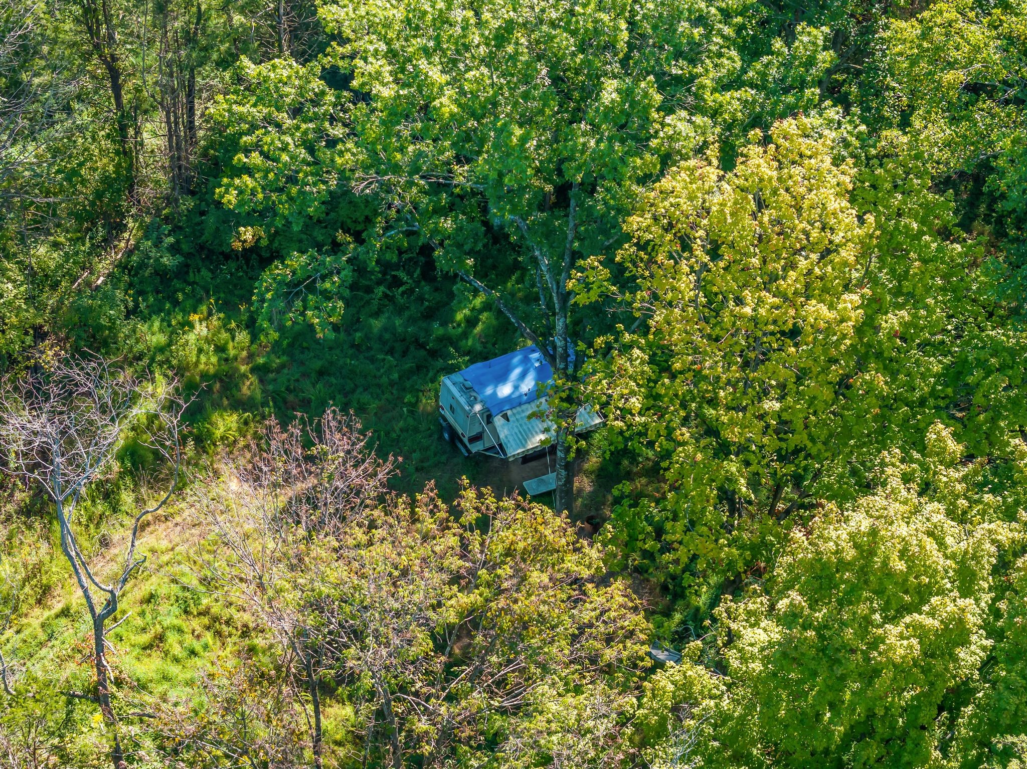 5882 Cane Ridge Rd Property Photo 10