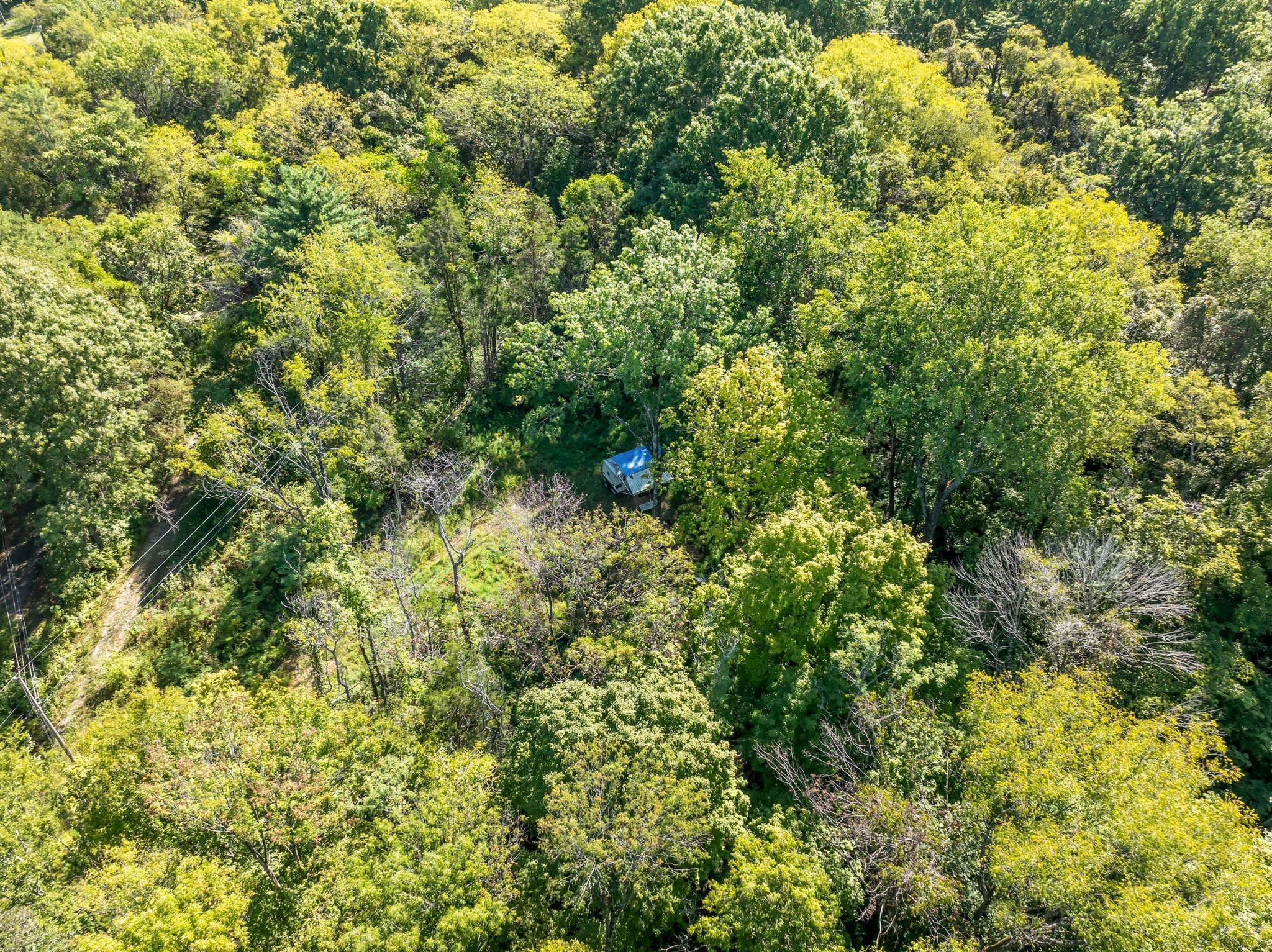 5882 Cane Ridge Rd Property Photo 11
