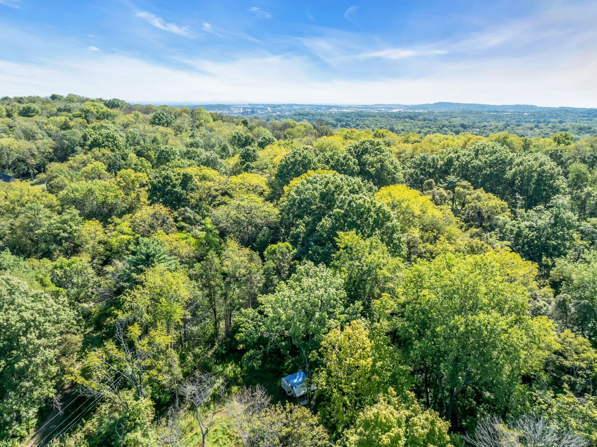 5882 Cane Ridge Rd Property Photo 12