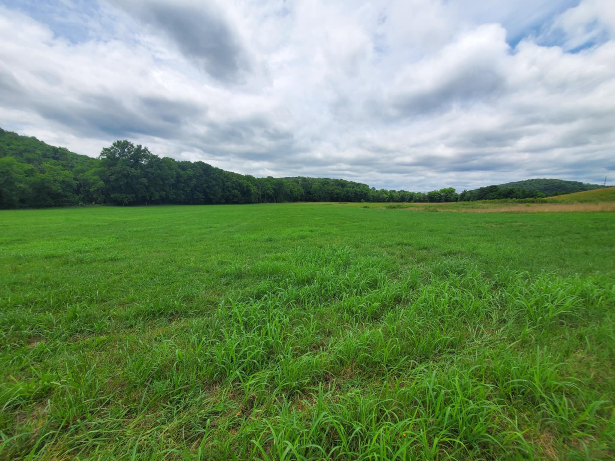 0 Plunkett Creek Rd Property Photo 4