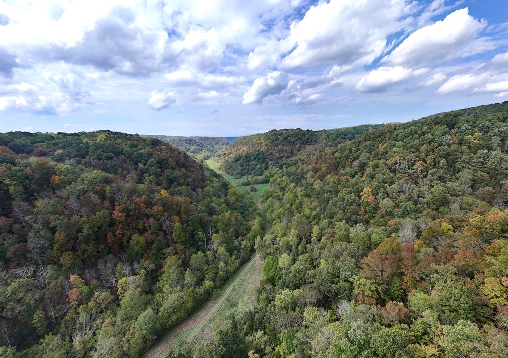 5154 Dry Mill Creek Property Photo 7