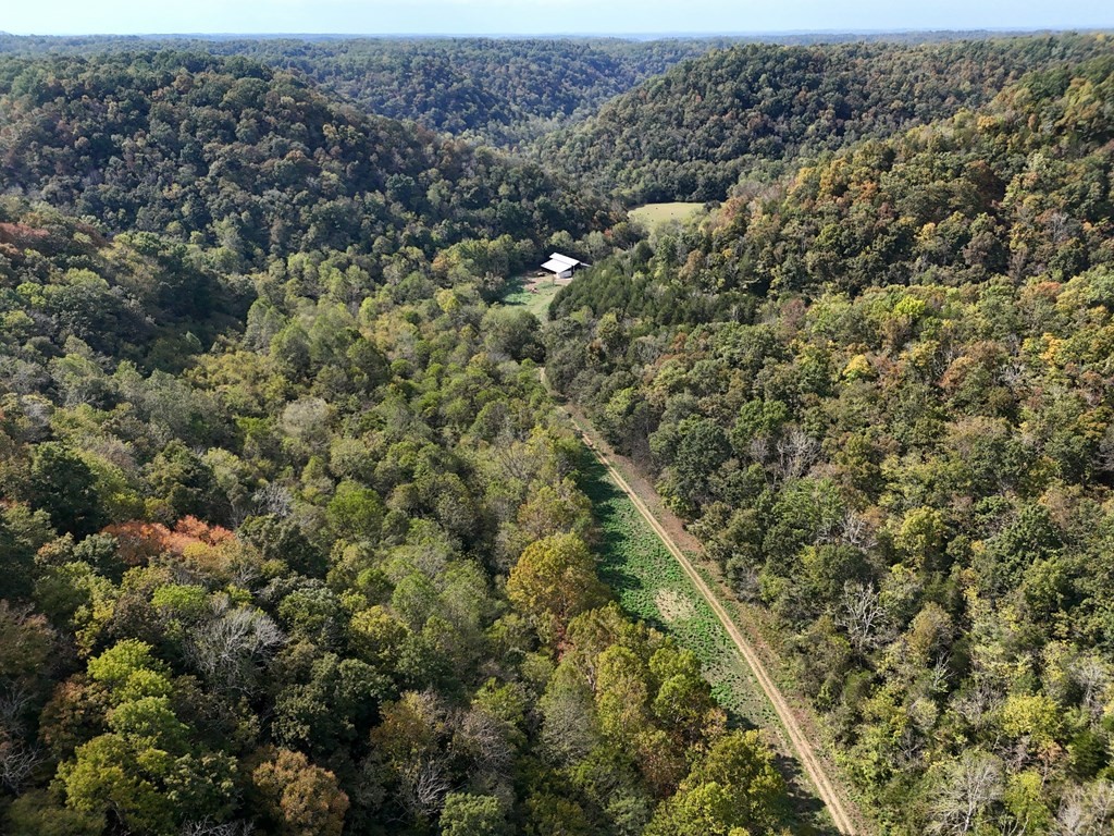 5154 Dry Mill Creek Property Photo 8