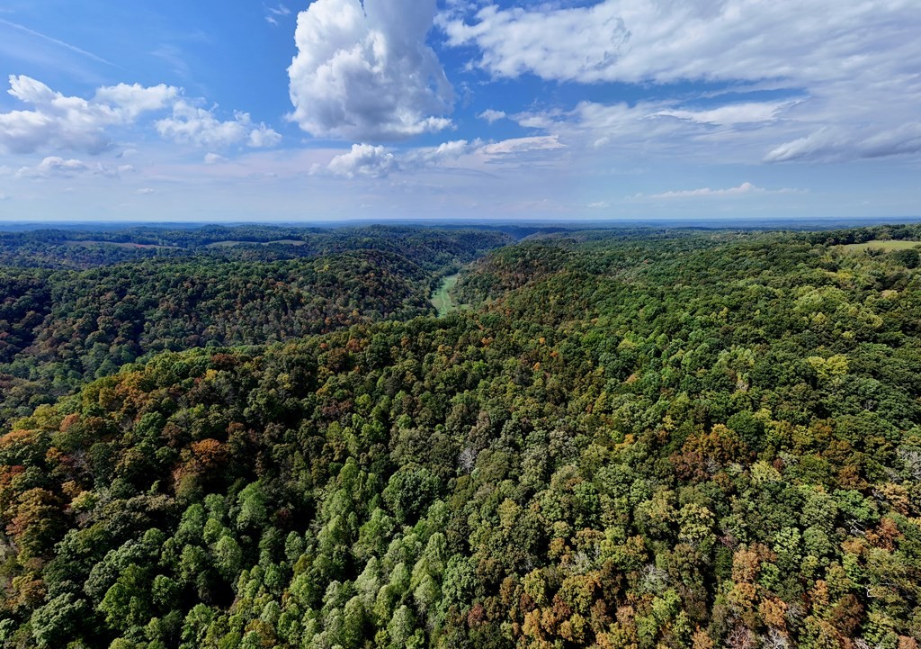 5154 Dry Mill Creek Property Photo 9
