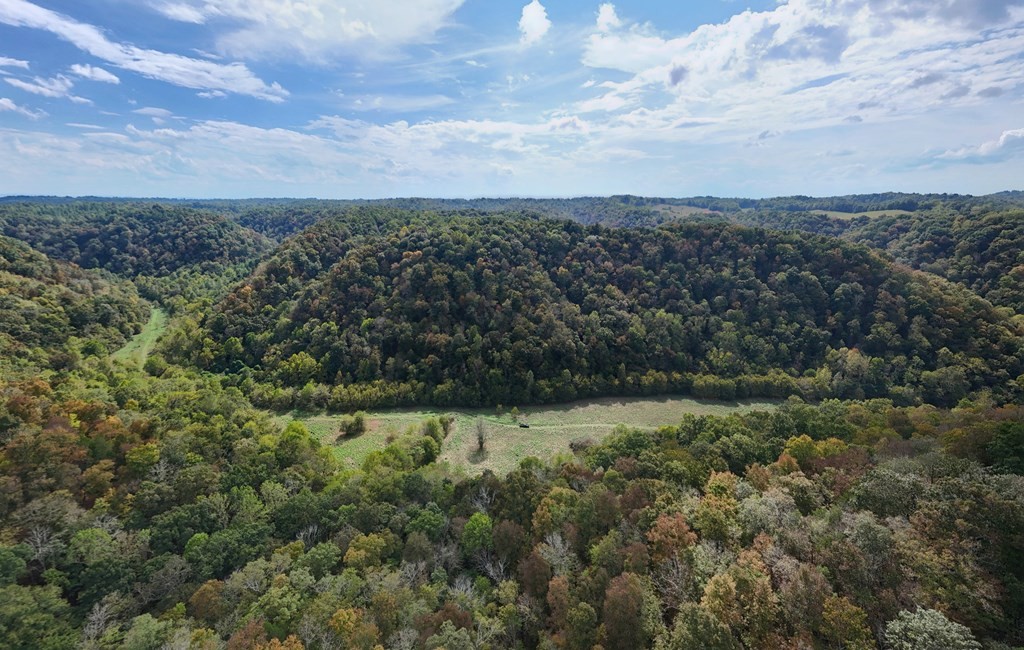 5154 Dry Mill Creek Property Photo 10