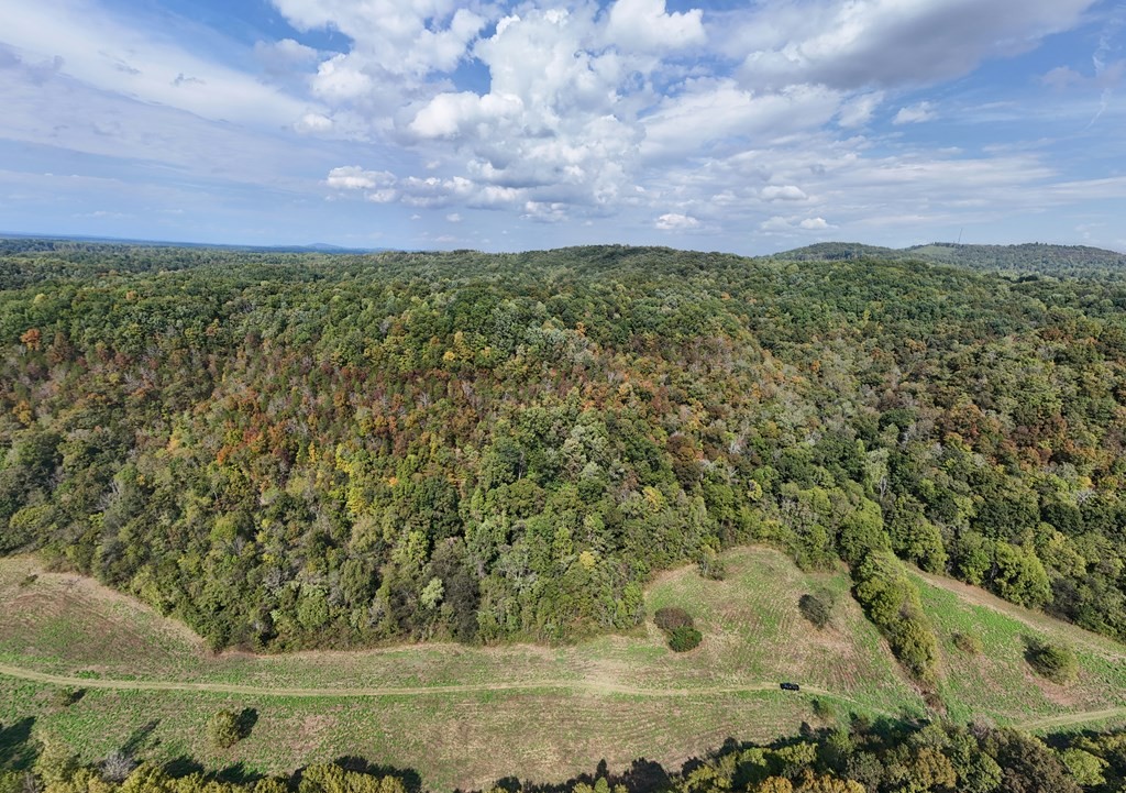 5154 Dry Mill Creek Property Photo 11