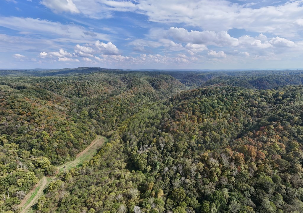 5154 Dry Mill Creek Property Photo 12