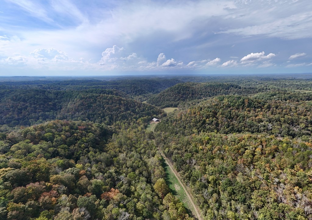 5154 Dry Mill Creek Property Photo 13