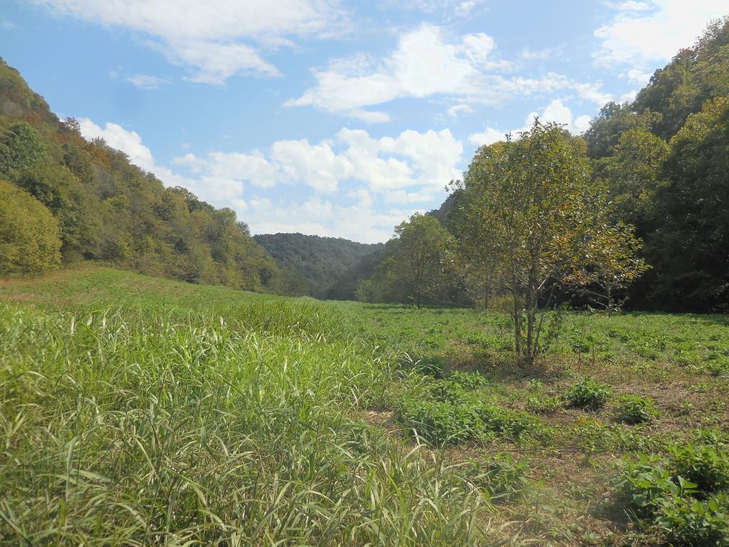 5154 Dry Mill Creek Property Photo 15