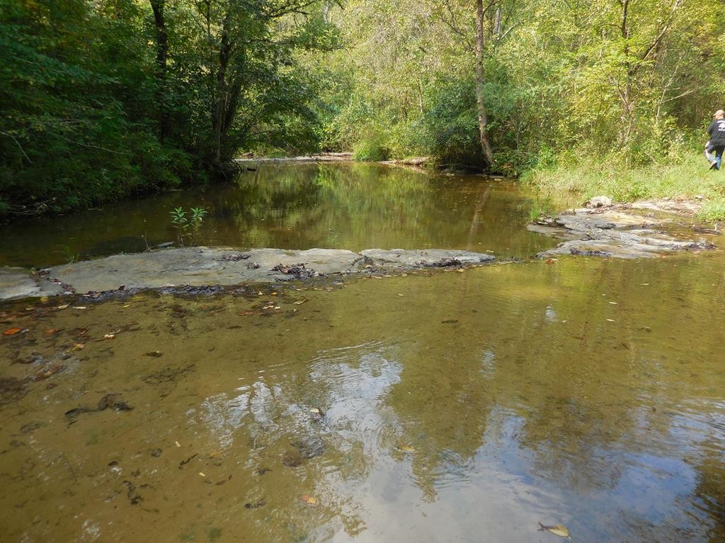 5154 Dry Mill Creek Property Photo 16