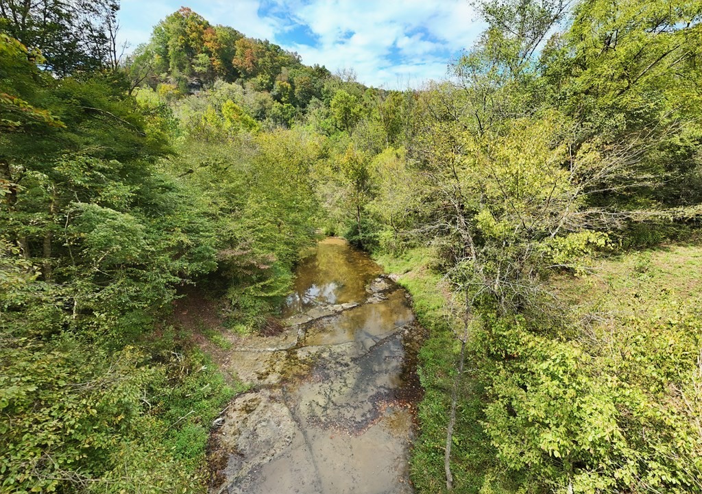 5154 Dry Mill Creek Property Photo 18