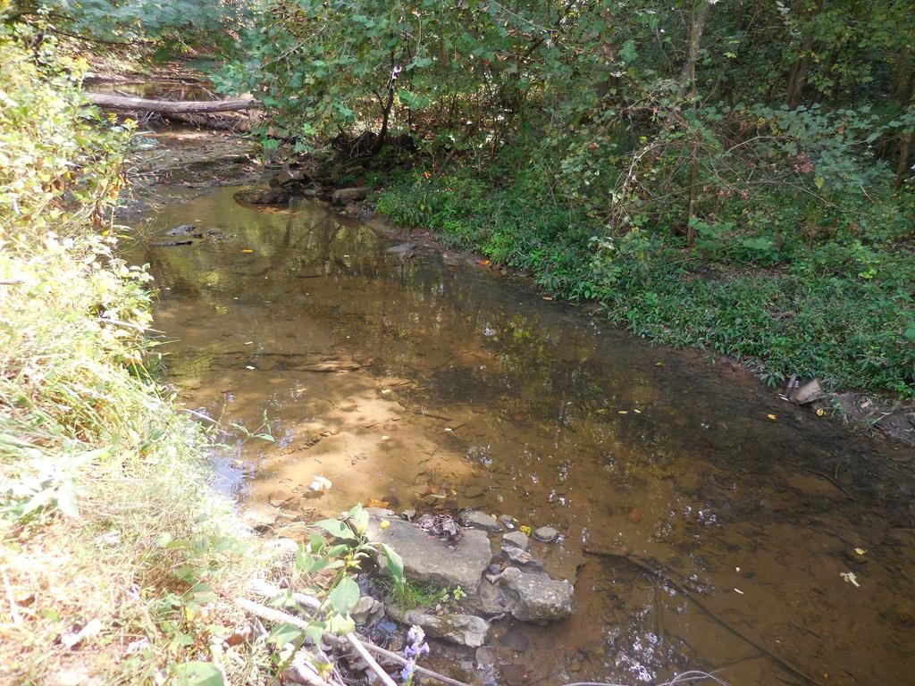 5154 Dry Mill Creek Property Photo 20