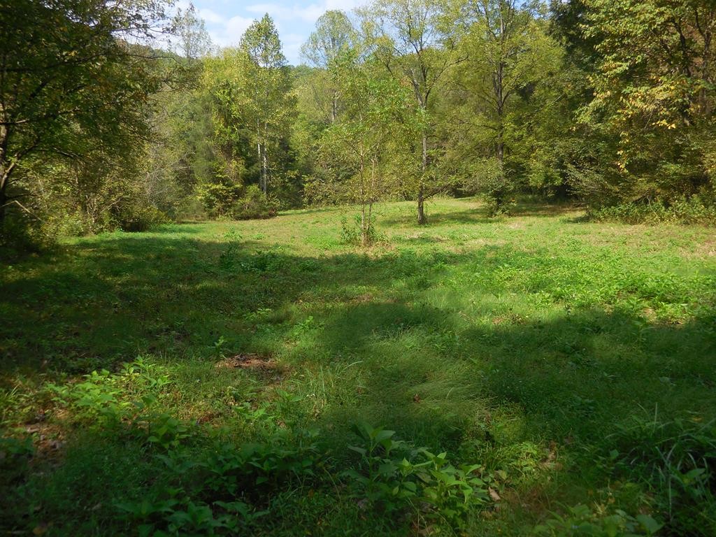 5154 Dry Mill Creek Property Photo 21