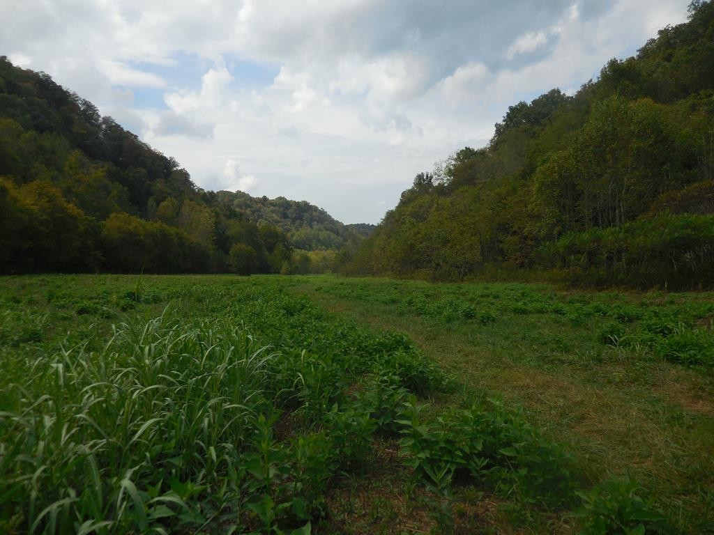 5154 Dry Mill Creek Property Photo 22