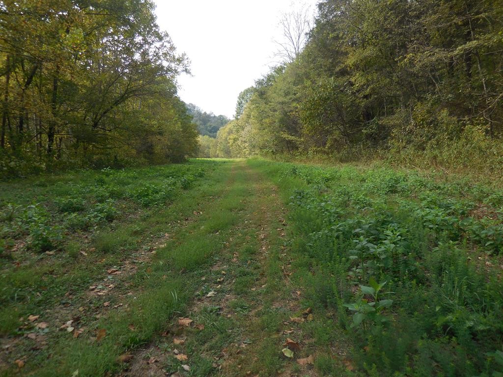 5154 Dry Mill Creek Property Photo 23