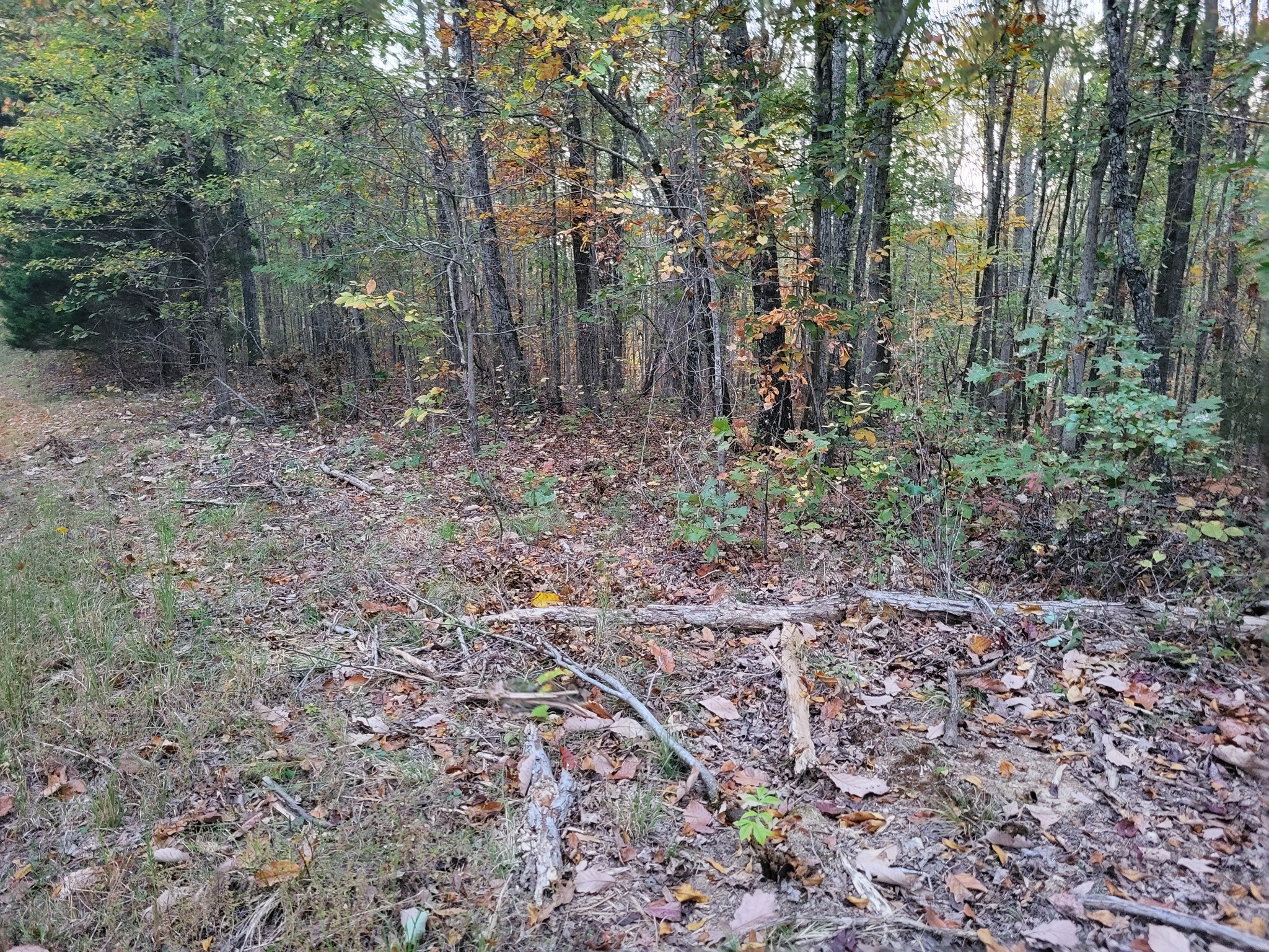 1 Peachwood Lane Property Photo 4