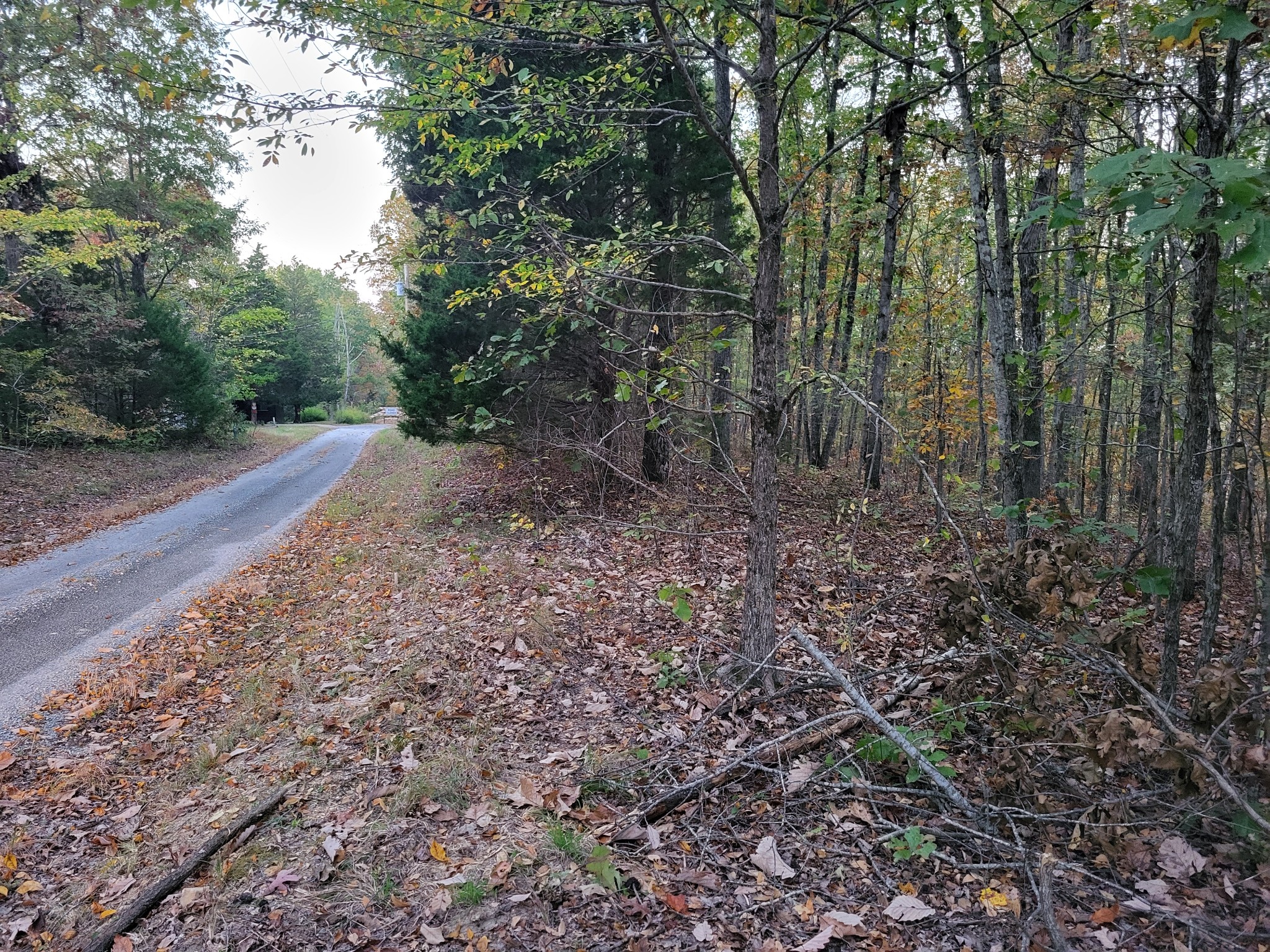 2 Peachwood Ln Property Photo 9