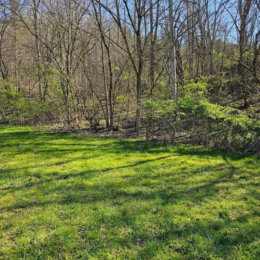 0 Big Hill Rd Property Photo 7