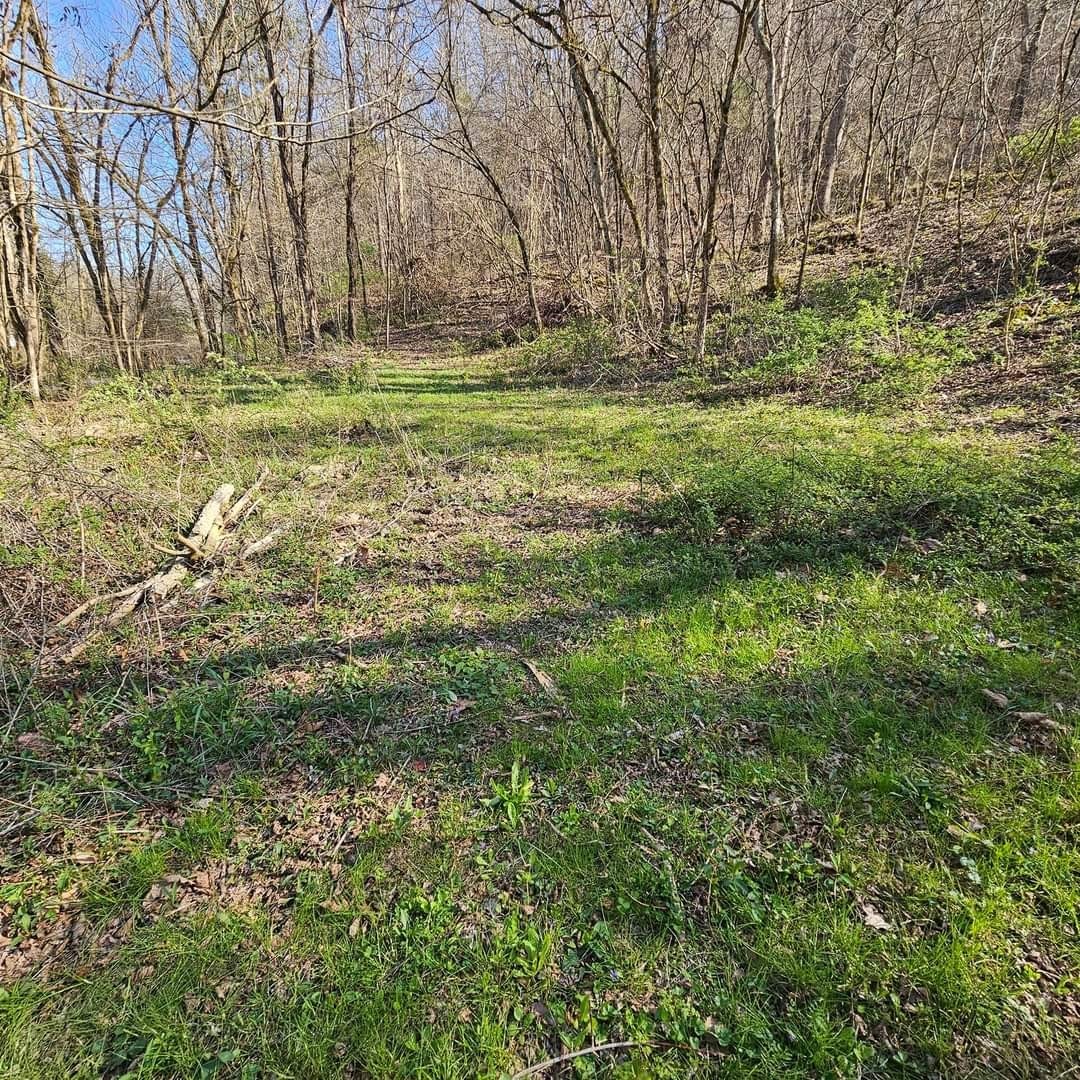 0 Big Hill Rd Property Photo 20