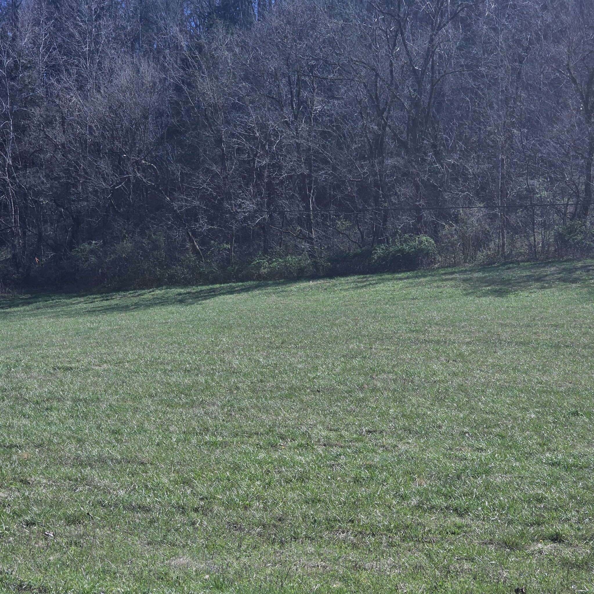 0 Big Hill Rd Property Photo 35