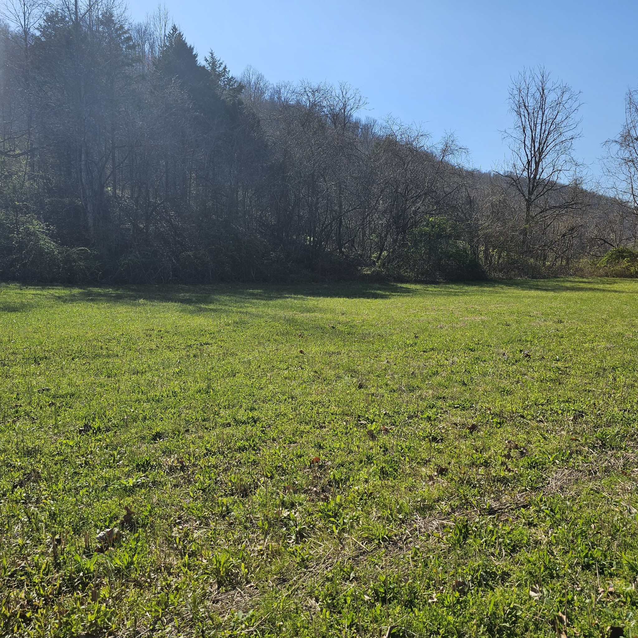 0 Big Hill Rd Property Photo 36