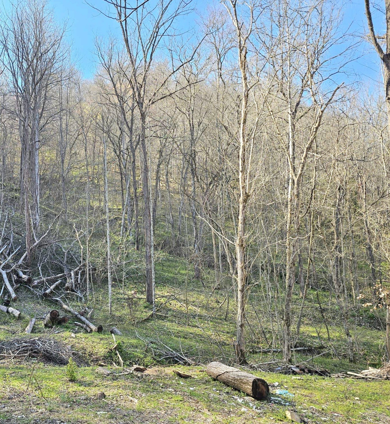 0 Big Hill Rd Property Photo 38